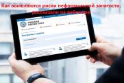 Как выявляются риски неформальной занятости, рассказали на вебинаре