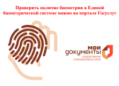Проверить наличие биометрии в государственной информационной системе "Единая биометрическая система" (ГИС ЕБС) можно на портале Госуслуг.