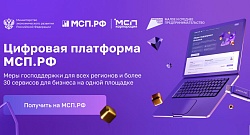 Цифровая платформа МСП